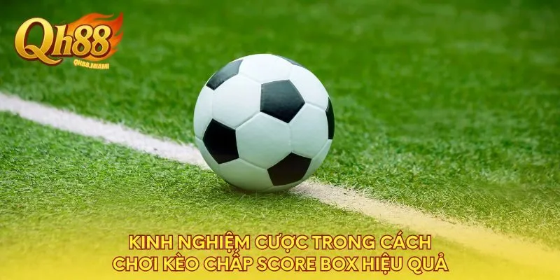kinh-nghiem-cuoc-trong-cach-choi-keo-chap-score-box-hieu-qua